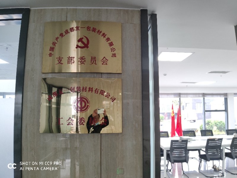 热烈祝贺冰球突破集团成都分公司党支部在2020年3月11日授牌成立，支部书记曹云(行政部经理)